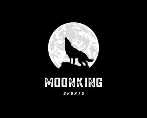 Willkommen bei MoonKing Sports: Der Beginn einer neuen Ära im Sport - MoonKing Sports
